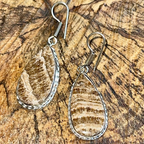 Teardrop Shape Aragonite Earrings 2” - Picture 7 of 10